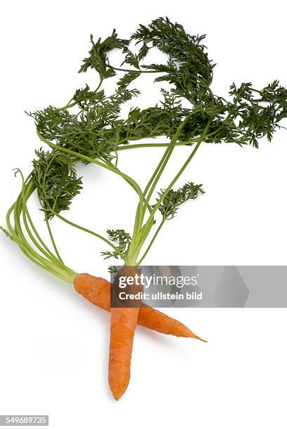 Möhren aus biologischem Anbau. Frisches Obst und Gemüse ist immer gesund. Symbolfoto für gesunde Diät.