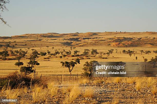 Afrika, Namibia, Naukluft-Nationalpark - Tsondab Valley, Trockenfluss