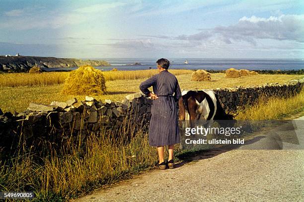 Brittany, farmer woman with cow
