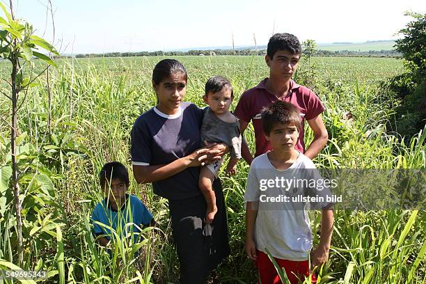 Local residents from a genetically soybeans field