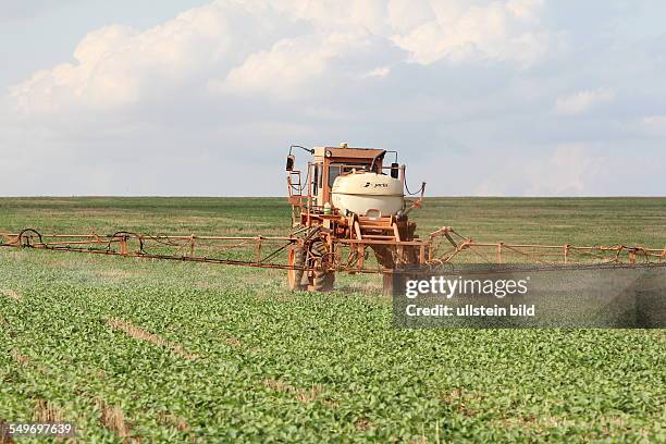 Spraying roundup ready on genetically soybeans