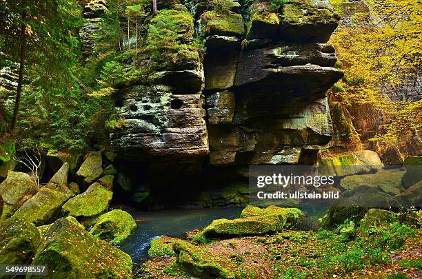 Tschechien, Boehmische Schweiz, an der Kamenice zwischen Edmundsklamm und Wilder Klamm