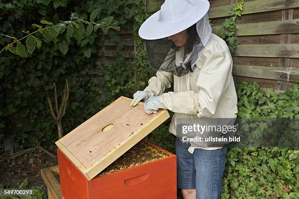 Bienenstock der Kölner Hobby- und Stadtimkerin Claudia Hoch. Hier: Claudia Hoch bei der Bienenpflege in ihrem Hinterhof