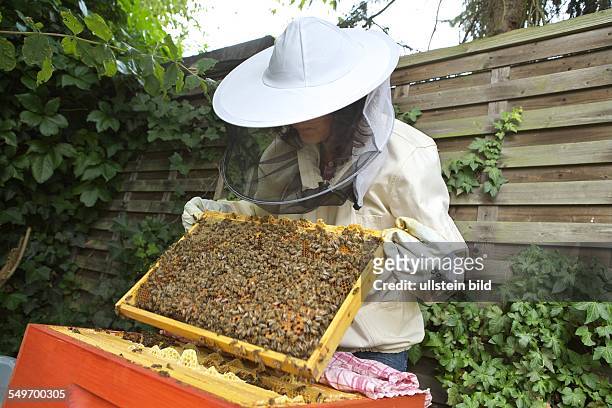 Bienenstock der Kölner Hobby- und Stadtimkerin Claudia Hoch. Hier: Claudia Hoch bei der Bienenpflege in ihrem Hinterhof. Ein mit Nelkenöl getränktes...