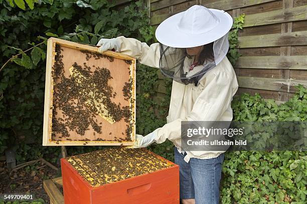 Bienenstock der Kölner Hobby- und Stadtimkerin Claudia Hoch. Hier: Claudia Hoch bei der Bienenpflege in ihrem Hinterhof