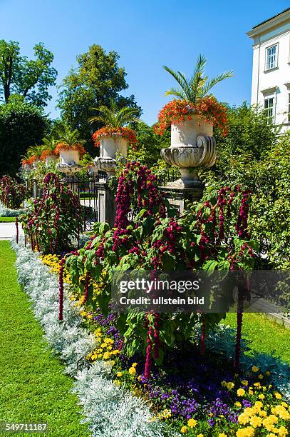 Der Mirabellgarten in der Stadt Salzburg in Österreich.