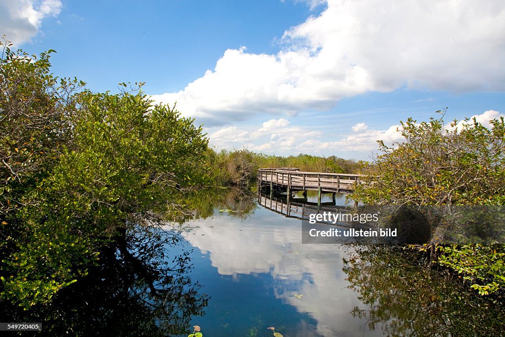 Anhinga Trail, swampland, Everglades National Park, Florida