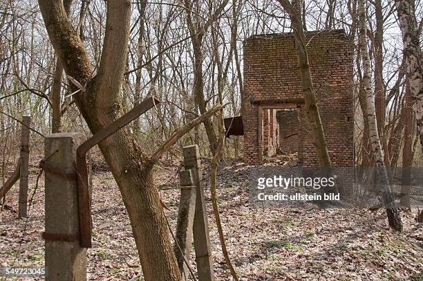 Die Reste von Gebäuden einer aus dem Jahr 1890 stammenden Ziegelei in Klausdorf am Boden-Geo-Pfad im Landkreis Teltow-Fläming werden vom Wald...