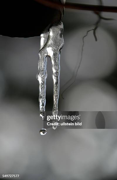 Thaw, an icicle melts