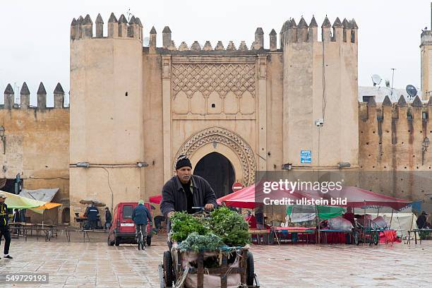 Frische Minze auf einem Verkaufskarren in Fes, Marokko