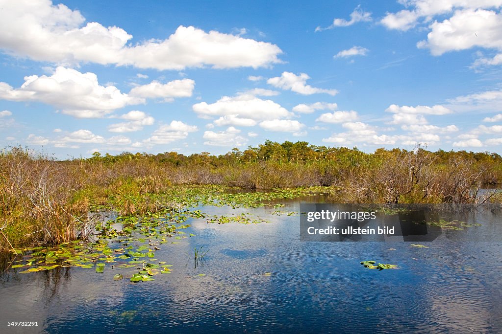 Anhinga Trail, swampland, Everglades National Park, Florida