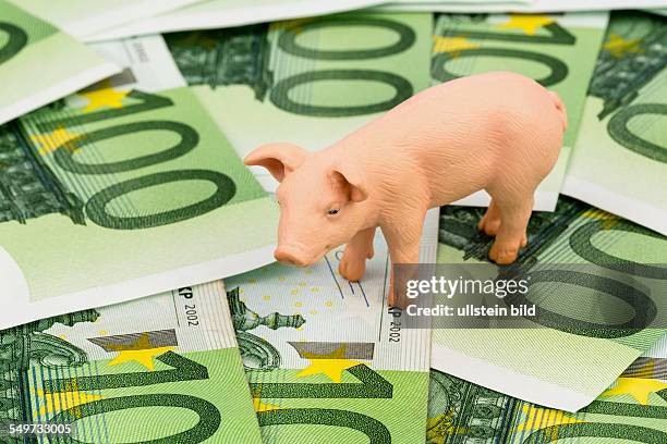 Ein Schwein steht auf Eurogeld Banknoten. Steigende Kosten für Futtermittel in der Landwirtschaft. Sinkende Erträge beim Schweinefleisch