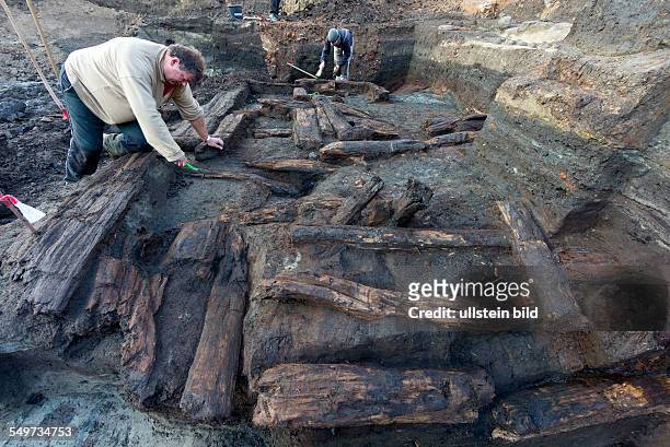 Die Grabungshelfer legen die grossflaechige Holzlage aus der Zeit vor 1250 in der Greifswalder Innenstadt frei. Die Archaeologen graben sich etwa...