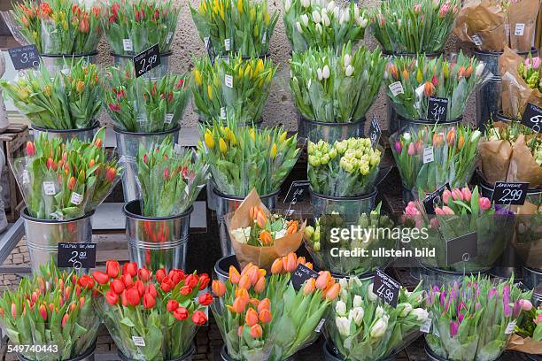 Germany - Berlin - Mitte: Springflowers in front of a florist, flower shop