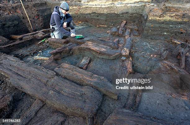 Die Grabungshelfer legt die grossflaechige Holzlage aus der Zeit vor 1250 in der Greifswalder Innenstadt frei. Die Archaeologen graben sich etwa 2,50...