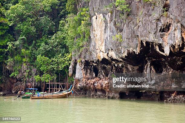 Thailand, South Thailand, Asia, Buddhism, Andaman Sea, South East Asia, Phang Nga Bay, Mangrove coast, bay of Ao Tha Len, beach, mangrove, seashore,...