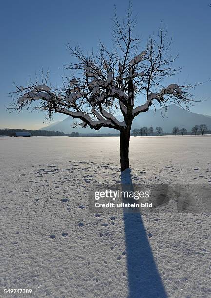 Schnee glitzert in der Sonne vor der Bergkulisse des Wendelstein in Nussdorf im Inntal, am 12. Dezember 2012.