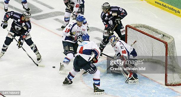 Steve Rankel 1,750 Steve Bear Photos & High Res Pictures - Getty Images