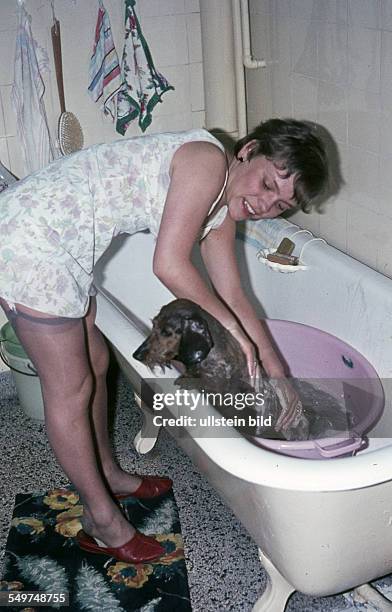 Ca. 1970, Frau beim Waschen ihres Dackels in der Badewanne