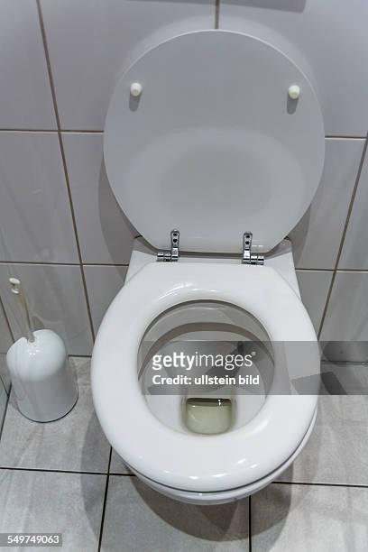 Eine Toilette in einer Wohnung. Mit geöffnetem WC-Sitz