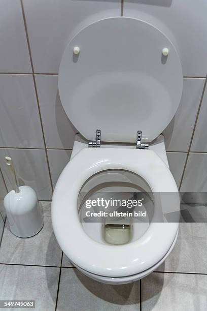 Eine Toilette in einer Wohnung. Mit geöffnetem WC-Sitz