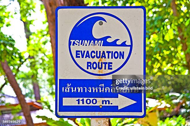 Thailand, South Thailand, Asia, Buddhism, Andaman Sea, South East Asia, dschungel, rain forest, forest, landscape, nature, Khao LakTsunami warning...