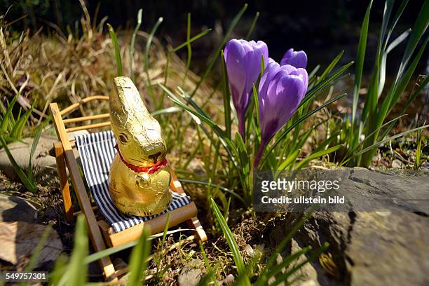 An Easter bunny made of chocolate sitting in a deck chair in the garden