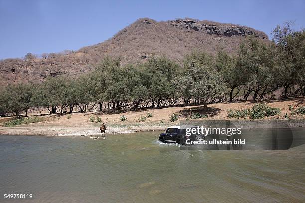 Sultanat Oman, Dromedar und Jeep in einem Gewässer im Wadi Darbat