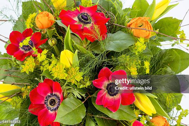 Ein bunter Strauß mit Frühlingsblumen auf weißem Hintergrund.