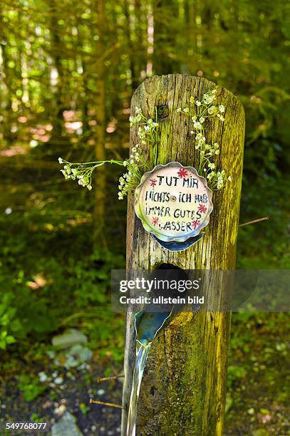 Frisches Trinkwasser aus einer Quelle bei einem Brunnen im Wald