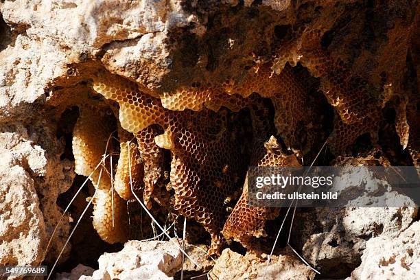 Dongara Rocks Dongara Western Australia Fotografías e imágenes de stock - Getty Images