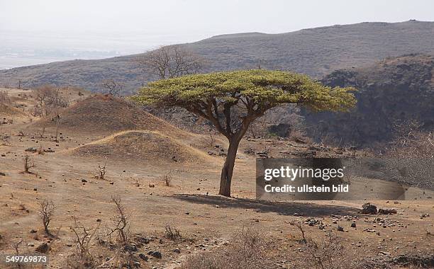 Aym Razat 17 Ayn Razat Stock Photos, High-Res Pictures, and Images - Getty Images