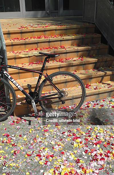 Berlin, Fahrrad an den mit Blüten bedeckten Treppen zum Standesamt in der Schlesischen Strasse.