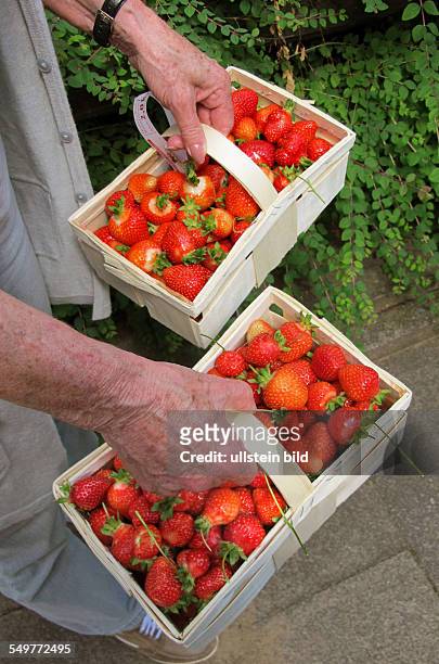 Erdbeeren selber gepflückt - gesehen in der Gemarkung Gleidingen bei Hannover