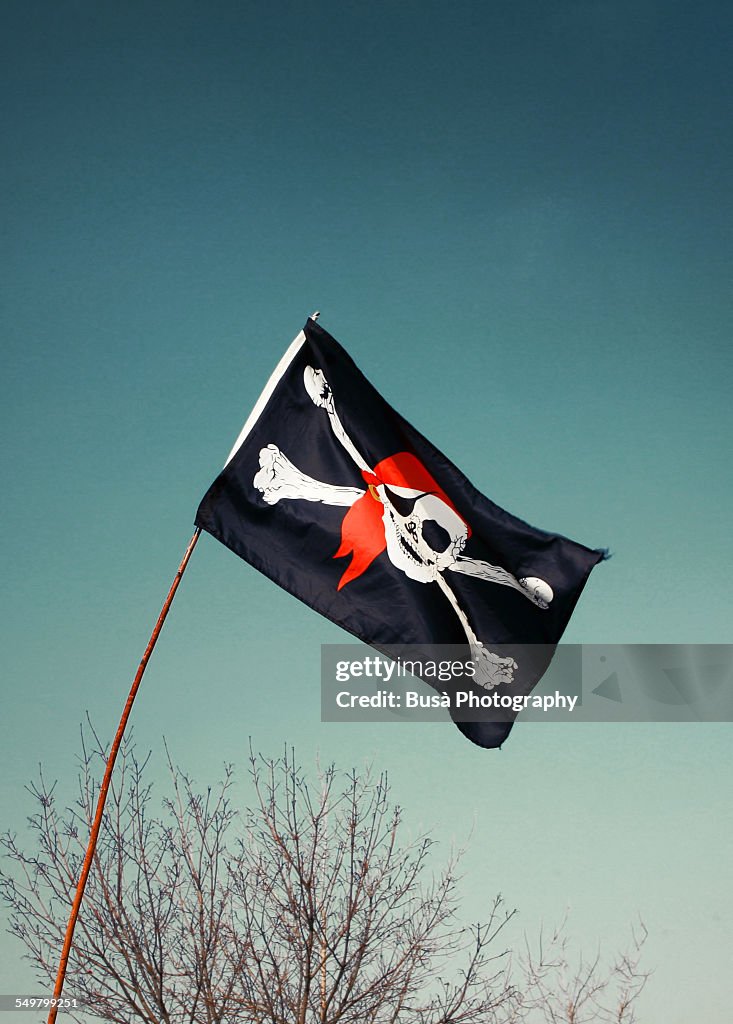 Pirate flag against the sky