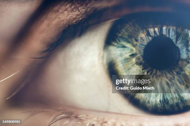 eye. - perception stock-fotos und bilder