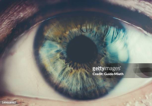 human eye. - iris stock pictures, royalty-free photos & images