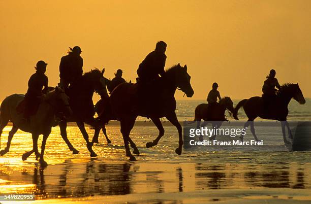 riding horses, beach, deauville - deauville beach stock pictures, royalty-free photos & images