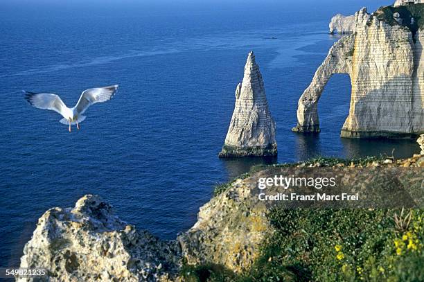 porte d'??aval and aiguille cliff, etretat - ポルトダヴァル ストックフォトと画像