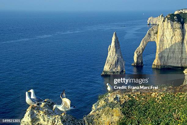 porte d'aval and aiguille cliff, etretat - ポルトダヴァル ストックフォトと画像