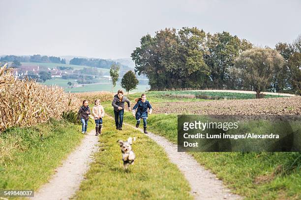 children running on farm track - alexandra dost stock-fotos und bilder