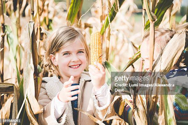 two girls playing in maize field - alexandra dost stock-fotos und bilder