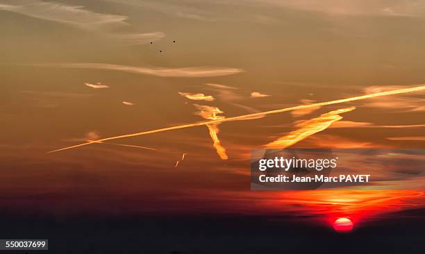 dramatic sky at sunrise with birds silhouettes - jean marc payet photos et images de collection