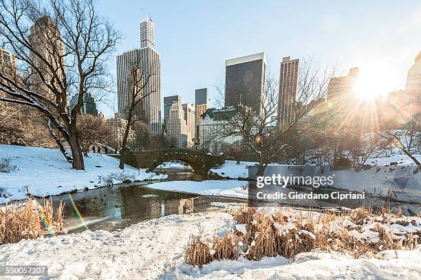 central park - new york city snow stock pictures, royalty-free photos & images