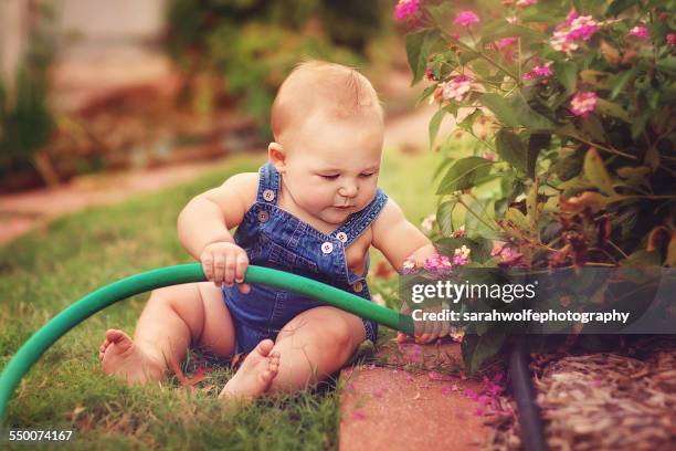 baby boy watering plants with a hose - bush baby bildbanksfoton och bilder
