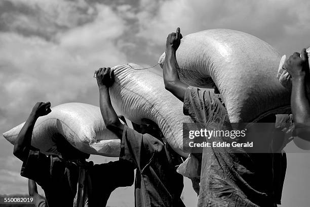 wfp food distribution in congo - programme alimentaire mondial photos et images de collection