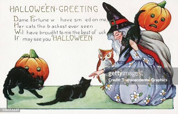 This Halloween postcard with a witch, black cats and pumpkins, Worcester, Massachusetts, circa 1910.