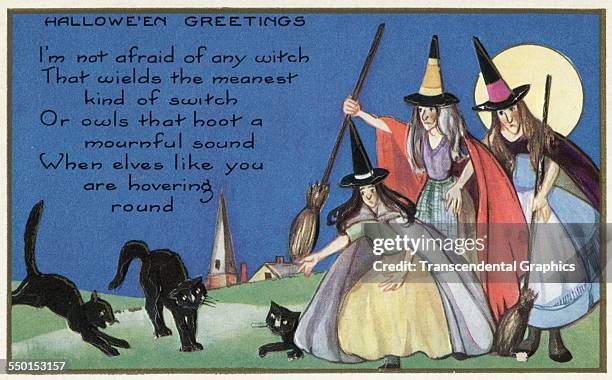 Witches, black cats and a full moon decorate this Halloween postcard, Germany, circa 1910.