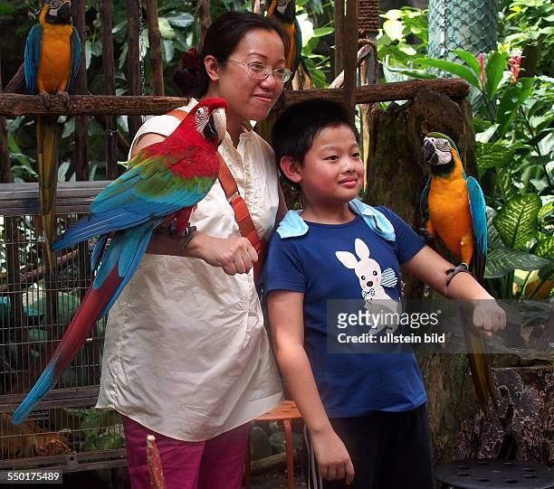 Mother and son pose with Macaws for photos, Butterfly Park and Insect Kingdom, on Sentosa Island, Singapore, 01.03.13