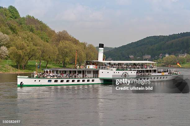 Der Schaufelraddampfer "Dresden", gebaut im Jahr 1926 in Dresden Laubegast, auf der Elbe in Königstein in der Sächsischen Schweiz. Das 68,7 Meter...